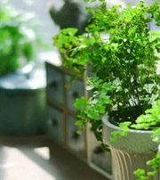 广元专属于你的开运指南，助你鸿运当头福满身！